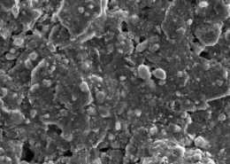 SEM of a battery electrode surface